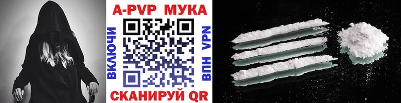 A-PVP СК Сегежа