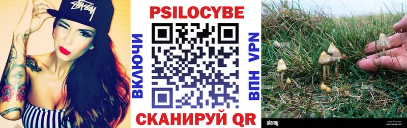 Псилоцибиновые грибы Magic Shrooms наркота blacksprut tor Сегежа